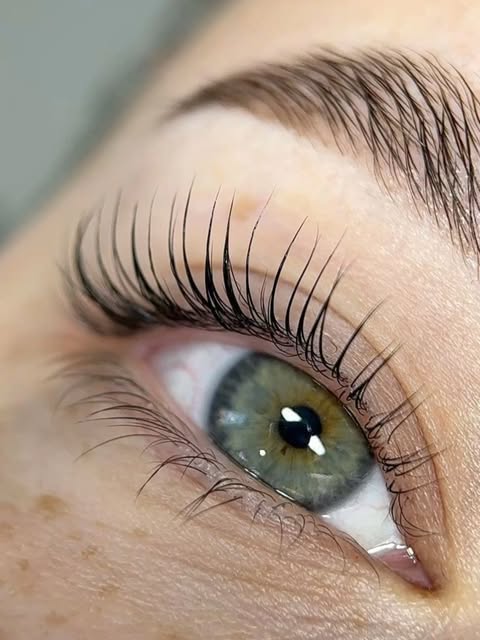 Resultado de cejas y pestañas en Gloss Mujer